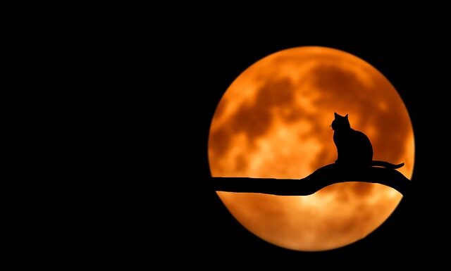 Czego można nauczyć roczne dziecko? Czego można nauczyć roczne dziecko?