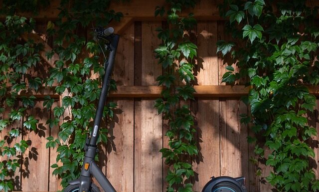 Jaka hulajnoga dla 2 latka? Jaka hulajnoga dla 2 latka?