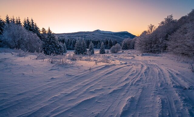 Jaka opona lepsza do hulajnogi elektrycznej? Jaka opona lepsza do hulajnogi elektrycznej?