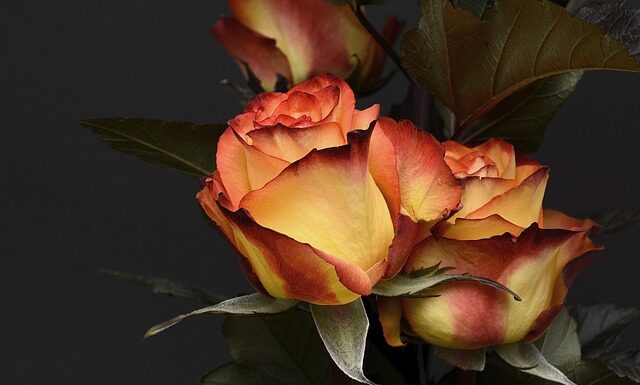 Co kupić na urodzenie dziewczynki?