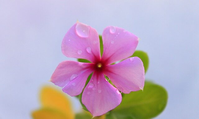 O której kłaść spać 4-miesięczne niemowlę?