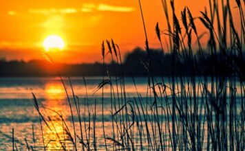 Jakie są instrumenty na E?