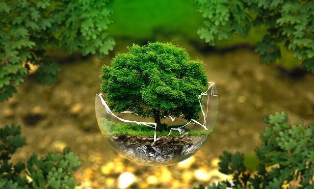 Co to znaczy słowo ekologia?