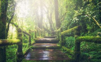 Jak się robi girlandy?