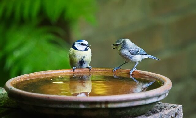 Jak się mówi po angielsku globus?