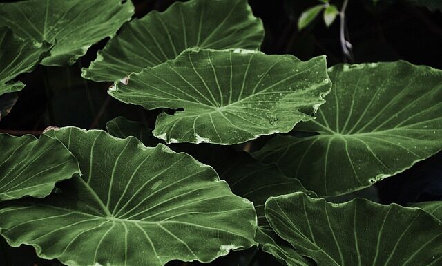 Co zrobić na Dzień Ziemi w przedszkolu?