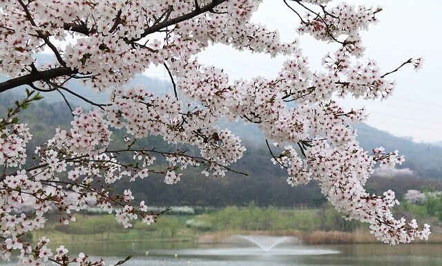 Co powinno umieć 6 miesięczne dziecko?