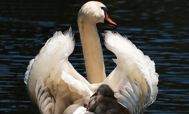 Do jakiego wieku i wzrostu dziecko w foteliku?