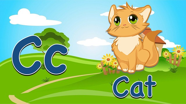 Co to jest fiszka deskorolka? Co to jest fiszka deskorolka?