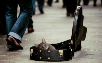 Jak zrobić gitarę w domu? Jak zrobić gitarę w domu?