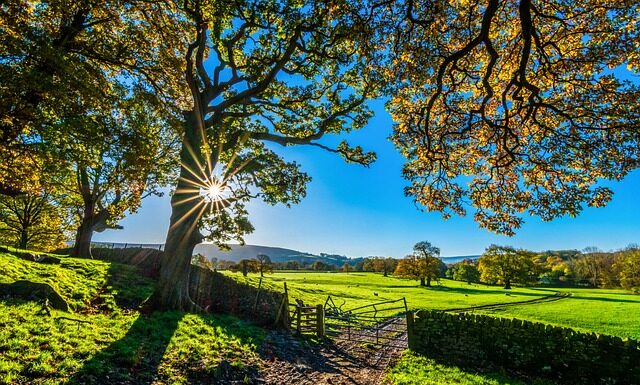 Jak zrobić tor przeszkód dla dzieci na podwórku?