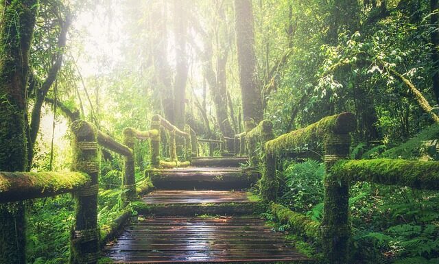 Jak połączyć girlandy?