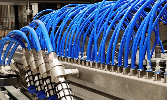 Jakie atrakcje mogą być na festynie?