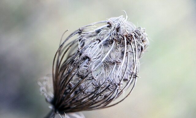 Co można zrobić z bibuły gładkiej?