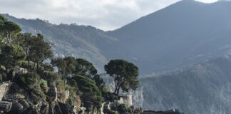 Ile kosztuje 1 metr jedwabiu?